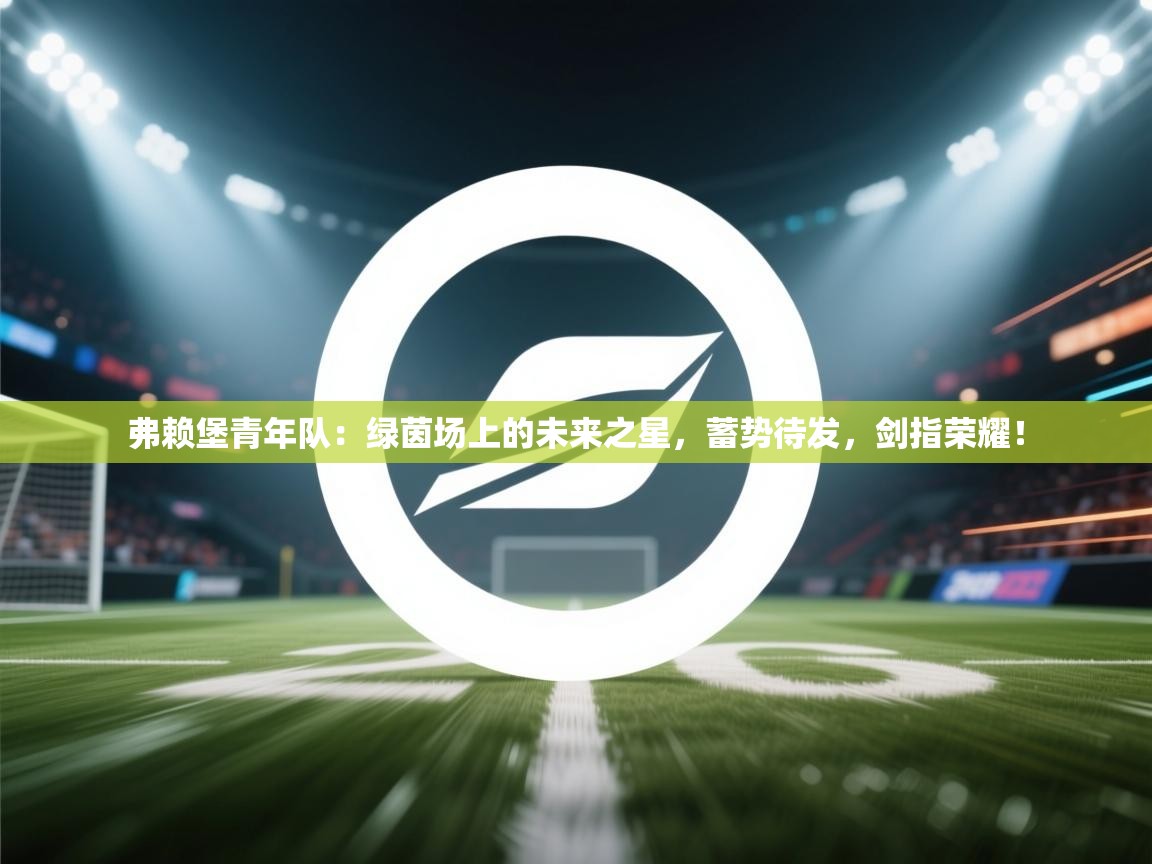 弗赖堡青年队:绿茵场上的未来之星,蓄势待发,剑指荣耀! 第2张