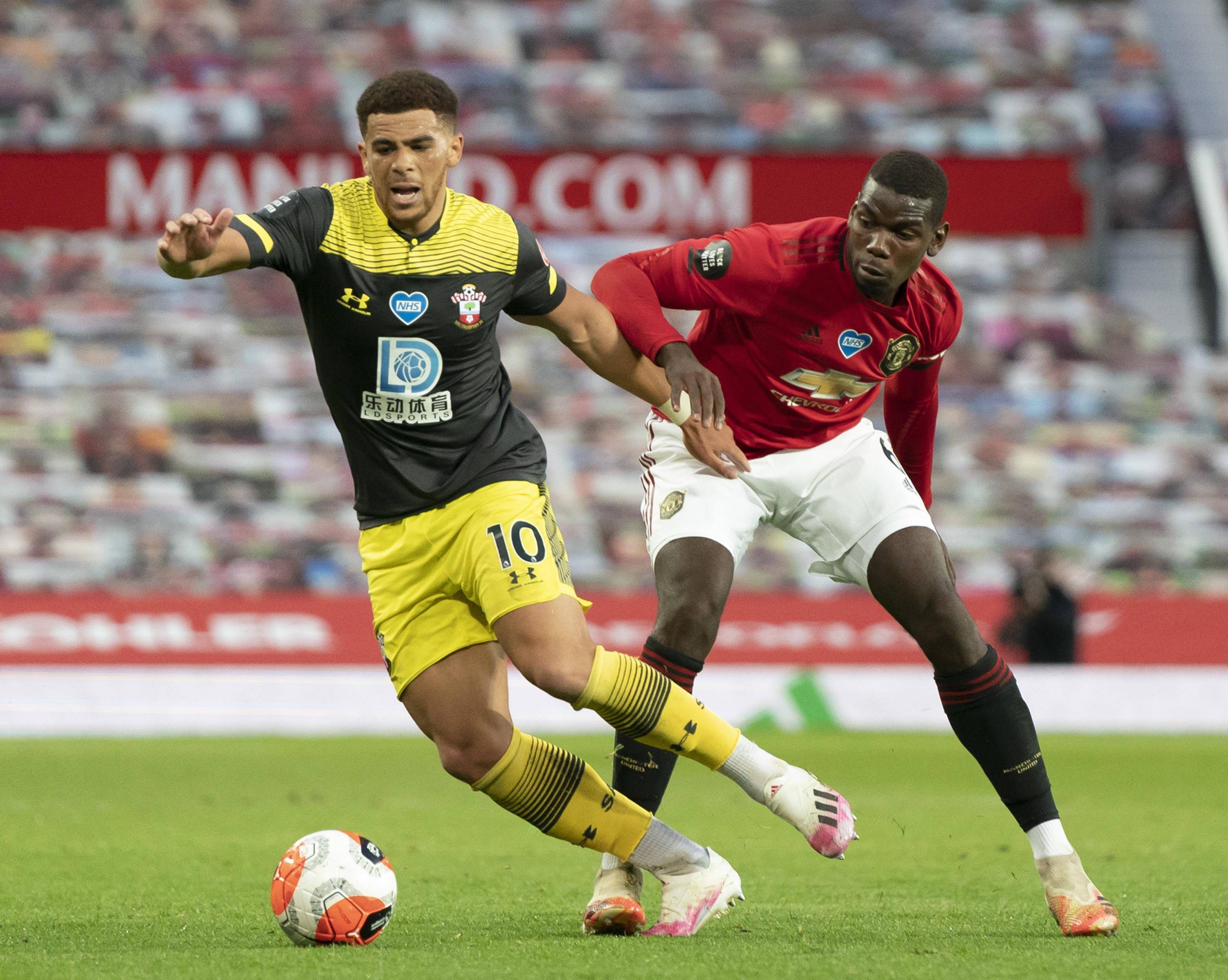 开云体育在线登录-包含南安普敦主场落败，欲振旅游欲表现的词条